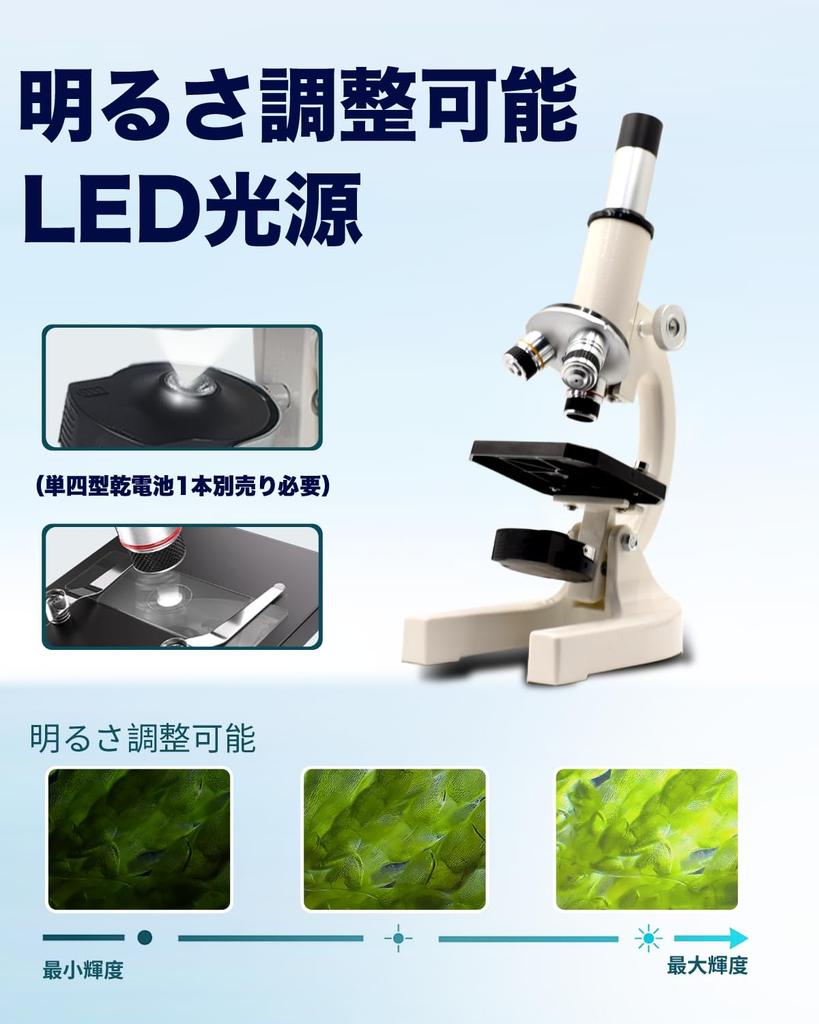 Microscope for Elementary School Students and Children [40X~3200X, with Specimen] - Made In Japan - Popular with Junior High and High School Students,