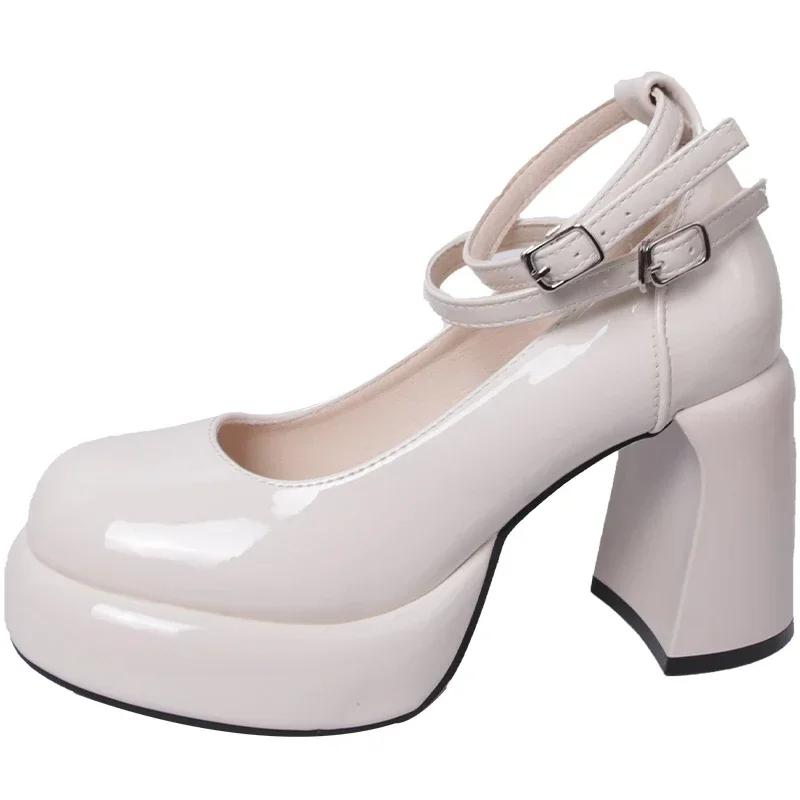 2025New Mary Jane Pumps For Women Girls Fashion Brand New Chunky Heel Wedding Dress Shoes Spring New Pumps Classic Double Buckle
