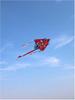 Lucky Dragon Kite: High-End, Easy-Fly Breeze for Kids & Adults with Line Wheel