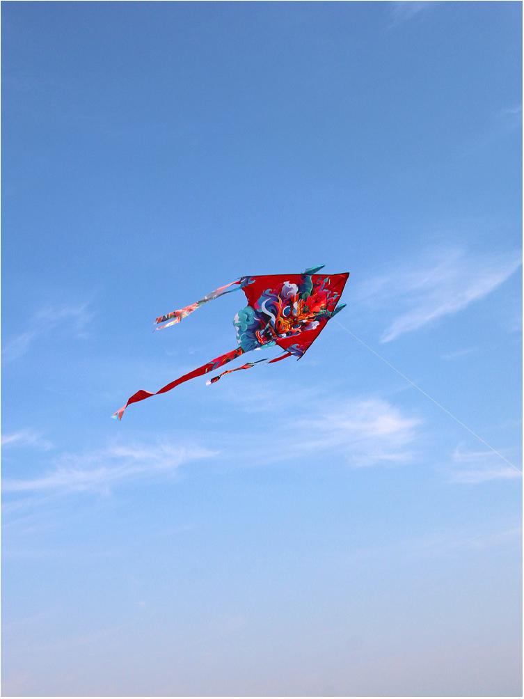 Lucky Dragon Kite: High-End, Easy-Fly Breeze for Kids & Adults with Line Wheel