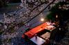 CAMPING MOON Gas Lantern Extension Pole Rod Lantern Extension Pole Pro. Z26