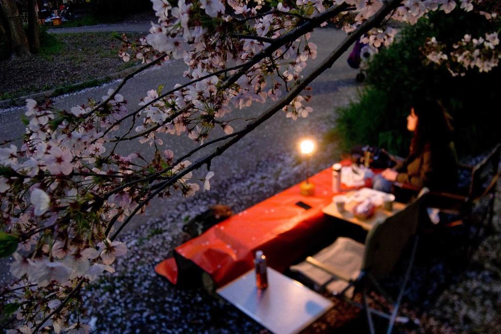 CAMPING MOON Gas Lantern Extension Pole Rod Lantern Extension Pole Pro. Z26