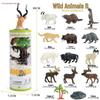 Mini Animal Growth Cycle Toys: Butterfly, Rooster, Ant, Frog, Sea Turtle, Dragonfly