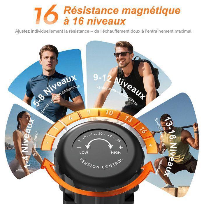 Professional Exercise Equipment
