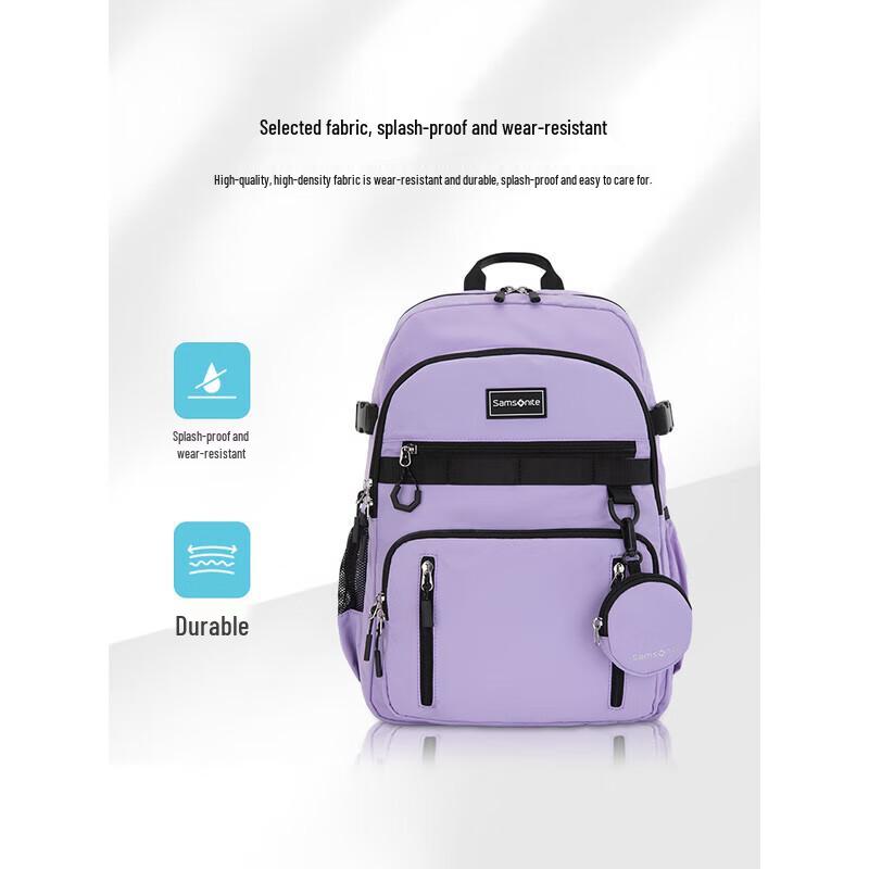 Samsonite NW4*91303 Laptop Backpack