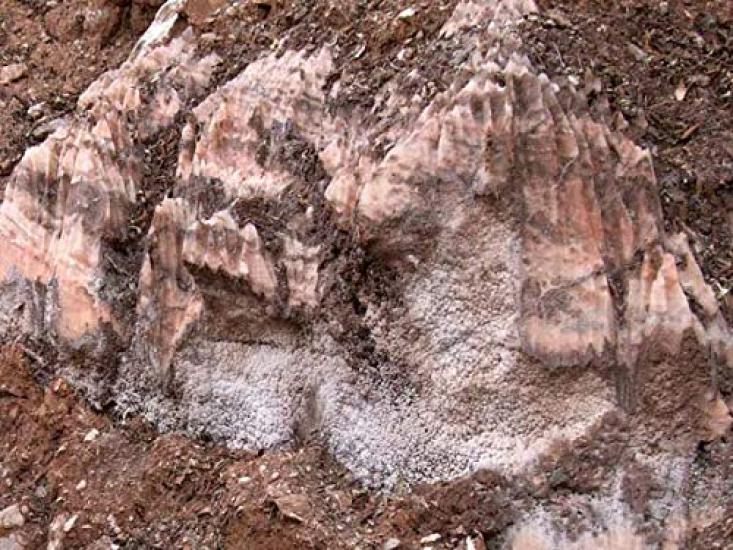 Kiseki Salt Life Andes Rock 300g Salt, Pink,