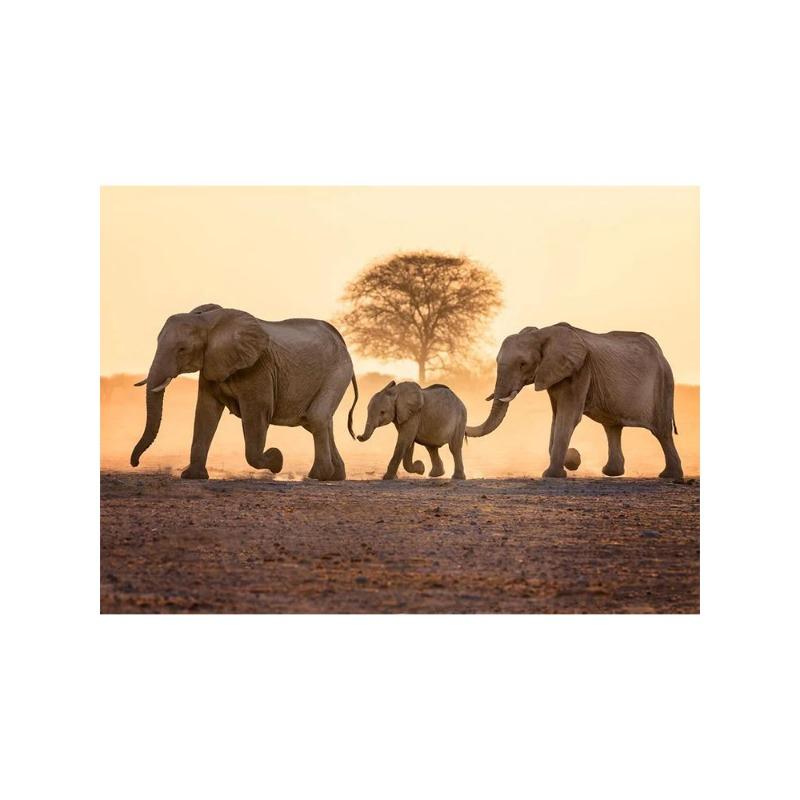 Vahşi doğa, fil, aile posterleri, tuval, resim, hayvan, baba, anne, çocuk, sevgi, modern oda için duvar sanatı resim