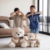 Decorative Huggable Animal Max the Bear-1 (2 Pieces) DAB-BQ1