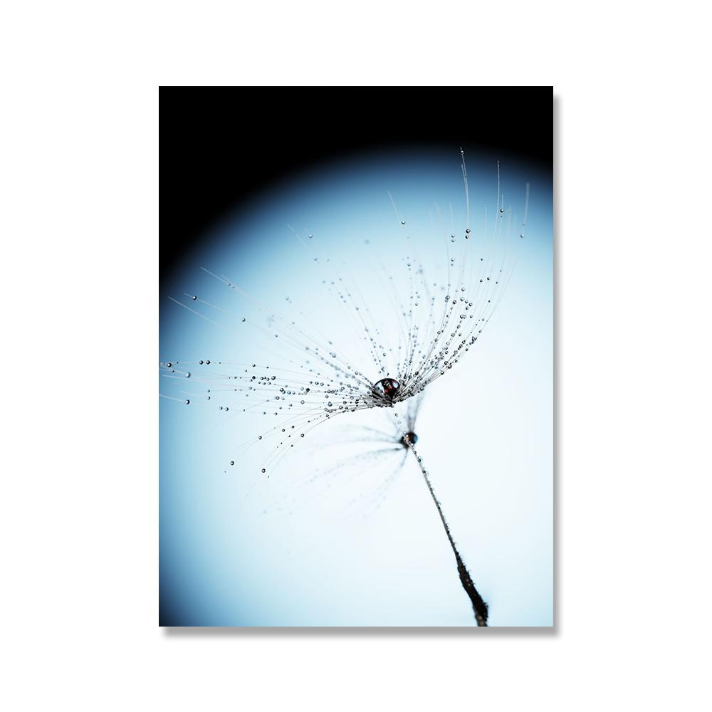 Gråblå Växt Maskros Suckulent Canvas Målning Nordiskt Landskap Fotografi Poster Modern Heminredning Vardagsrum Sovrum