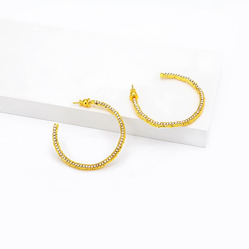European and American Style Temperament Double C Earrings Niche High-end Design Earrings Ins Spice Girl Light Luxury Earrings Earrings