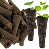 50 Stück Samenwachstumsschwämme, Ersatzschwämme für Wurzelwachstum, Setzlings-Starterstopfen, Samenstarter, Seed Pod, Hydrokultur-Gartenbepflanzung