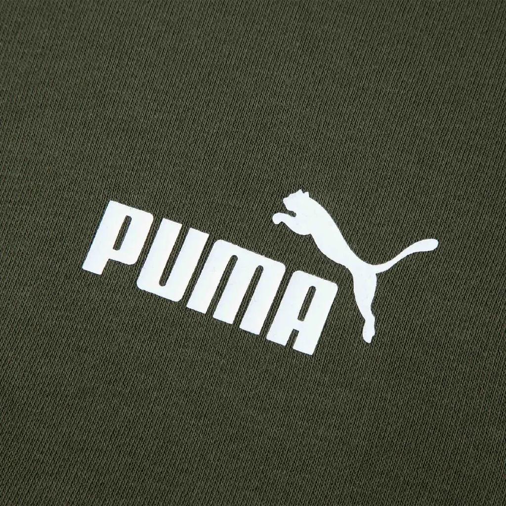 Puma Power Colorblock Half-Zip Sweatshirt Men Sweatshirts Dark-Green 686058-70