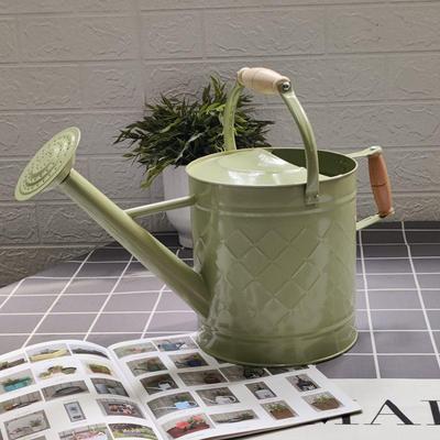 Large-Capacity Dual-Use Iron Watering Can: Ideal for Home Flower Care, Vegetable Planting, and Gardening Spraying.