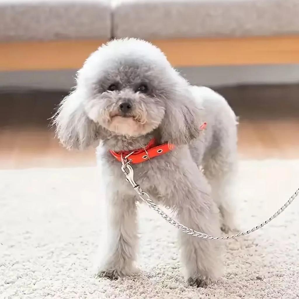 Heavy-Duty Dog Chain Leash 120cm Durable Leather Handle Chew-Resistant Metal Link Ideal for Large Breeds Pet Training & Walking