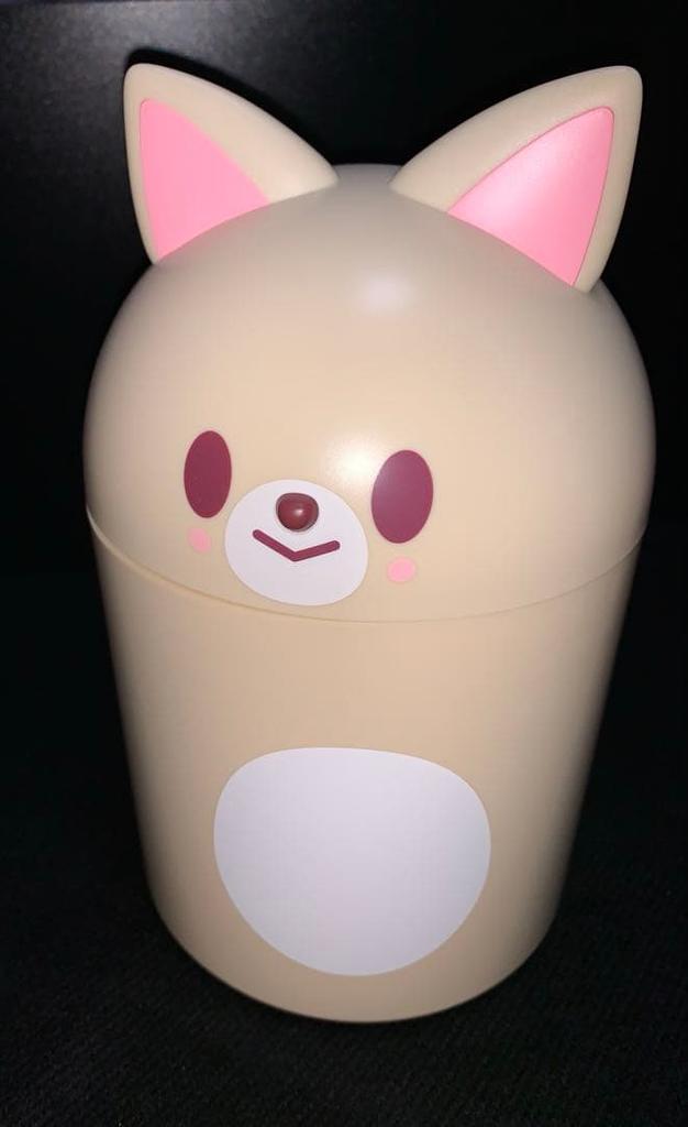 [USED] Straykids Skzoo Foxiny Trashbin Ien