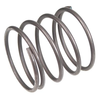 Clutch Spring Cedrus Transporter Tr300 131027