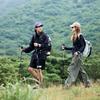 Naturehike Ultra-light Telescopic Trekking Pole