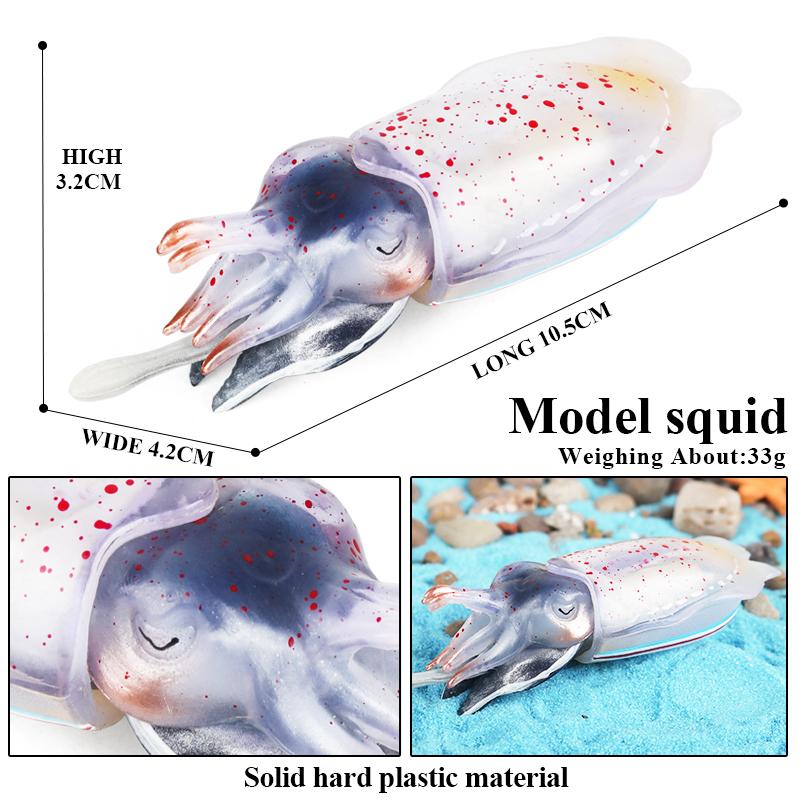 Oenux Marine Molluscs Model Simulation Squid Octopus Growth Cycle Action Figure Sealife Animals Education Collection Kids Toy