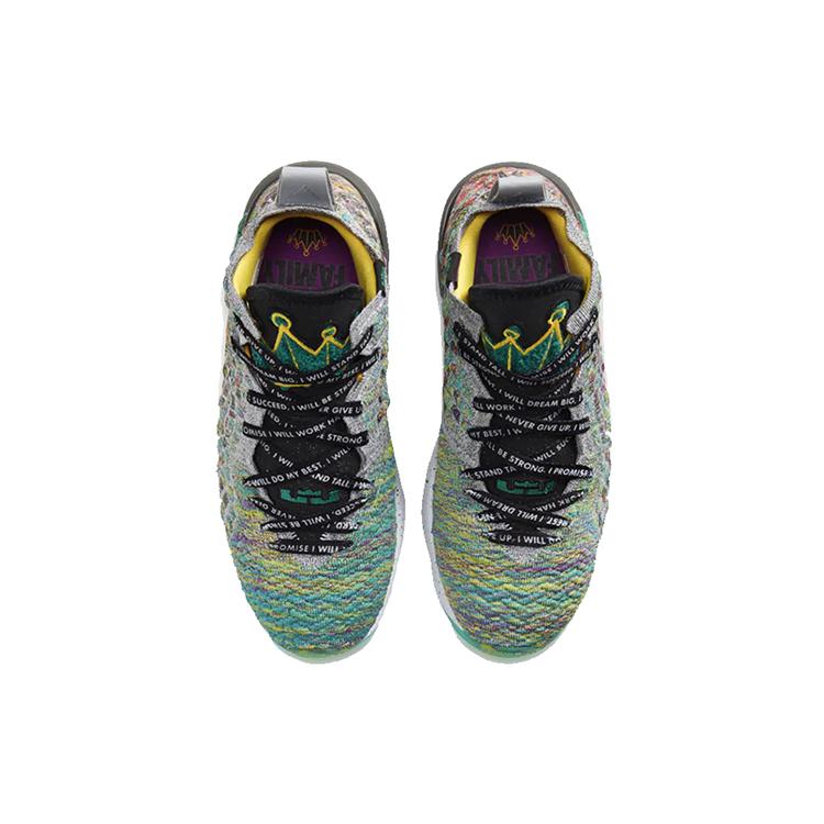 Nike LeBron 17 I Promise GS CW2761-300