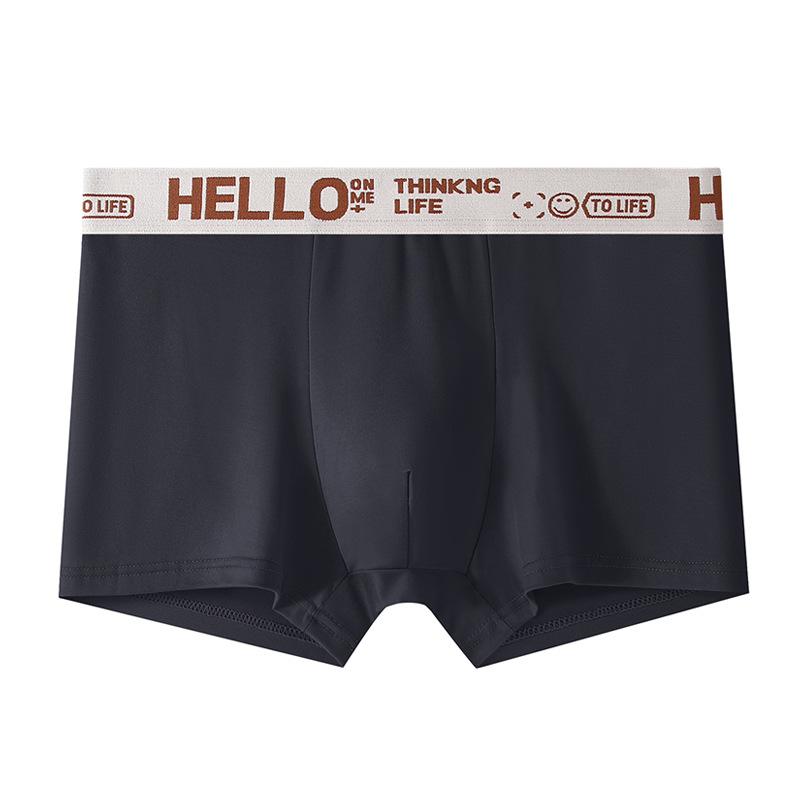 Large Size Men's Spring and Summer Fashion New Waist Flat Angle Underwear