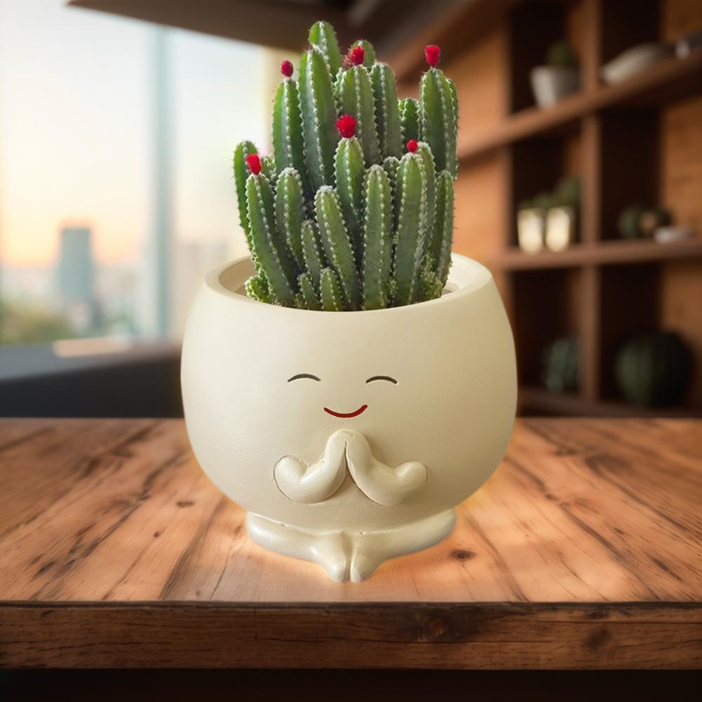 Cute Flower Pots with Drainage Hole Small Cactus Planter Resin Smile Face Flower Container for Home Room Decor