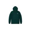 The North Face Branding Logo Hoodie 'Teal' NF0A7QUZ-D7V