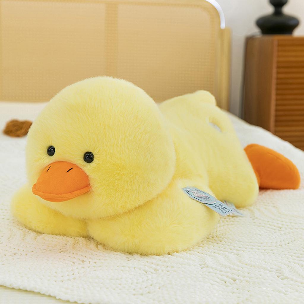 Plush Toys, Cute And Perfect Birthday Gifts For Friends And Classmates, Graduation Gifts