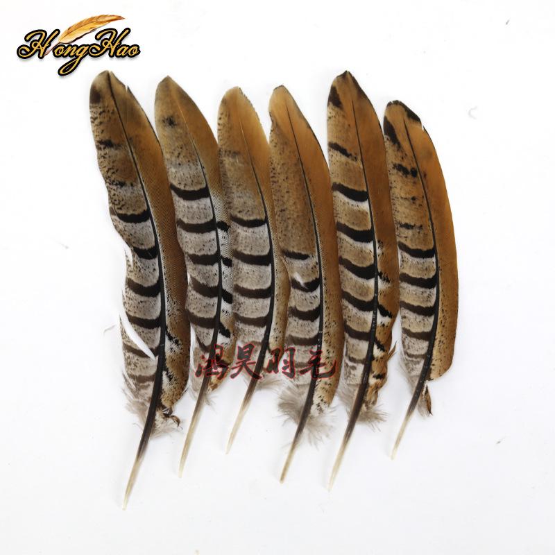 Pheasant Feather Long Plumes for Peking Opera Performance - Sun Wukong Theme