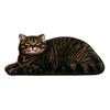 Slip Resistant Door Mat Cute Cat Bathroom Rug, Anti-Slip Absorbent Bath Washable Plush Tile And Wood Floor Kitty for Entrance Kitchen Home Decor