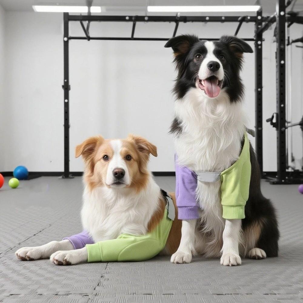Anti-Lick Dog Knee Brace Warmth Pet Front Leg Support Easy Wear Dog Knee Pads Shoulder Support