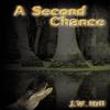 A Second Chance by J.W. Hill Hardback Book 9781438933023