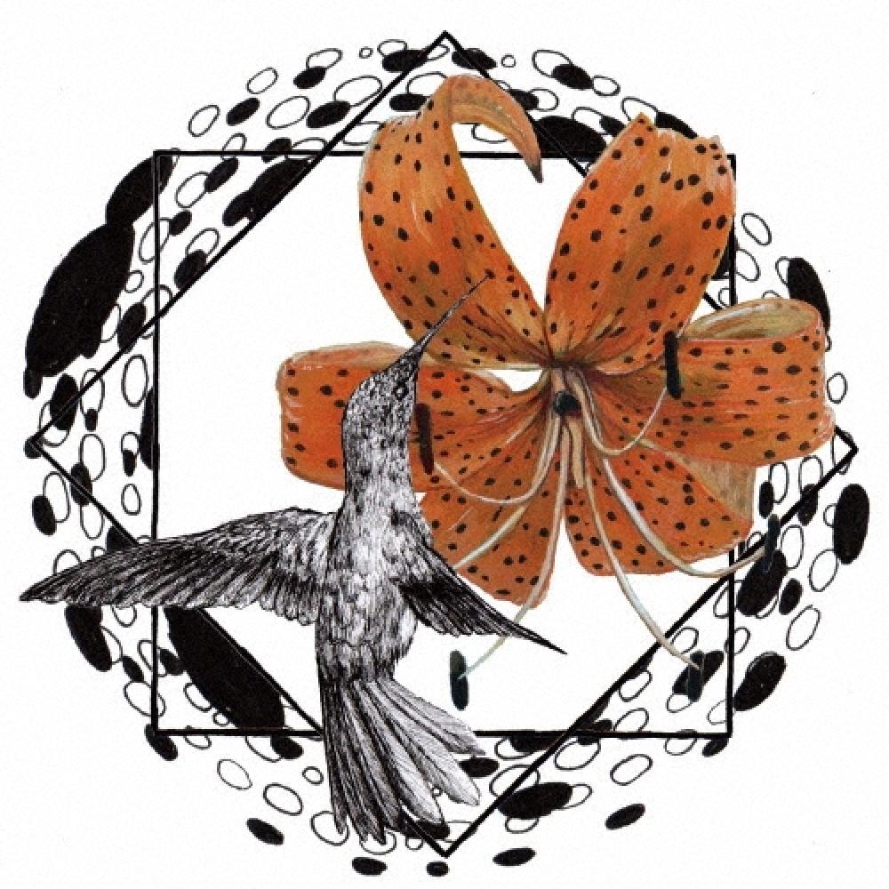 

YApAni Don T You Worry AbouT A Thing feAT.mizqui drAgonfly limiTed ediTion
