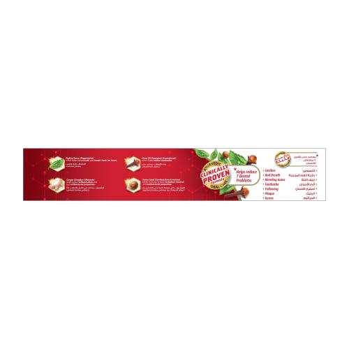 Red Manjan Toothpaste 200g Toothpaste by Dabur