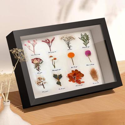Shadow Box Frame Sušené kvety Vitrína Dekoratívna Shadowbox pamäť na svadobné medaily