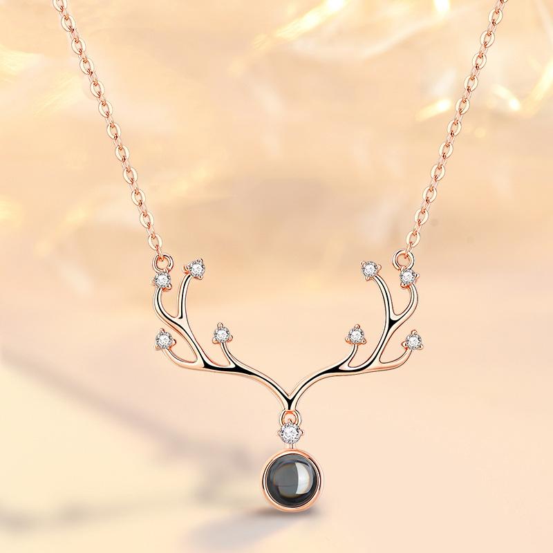 Yilu You Project Necklace Women's Trendy Clavicle Chain Frosty Pendant Projection Necklace