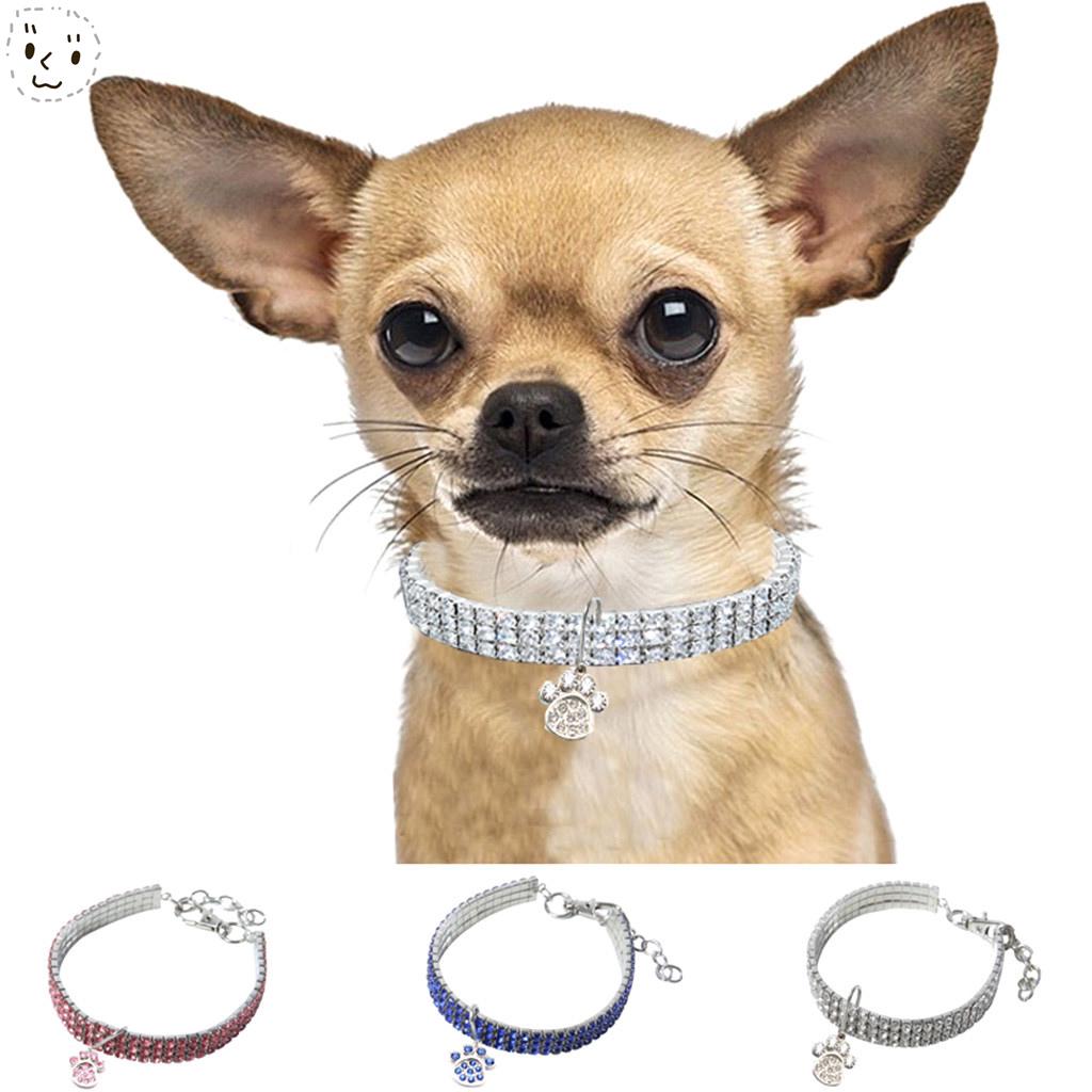 puppy bling
