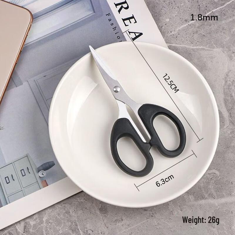 Stainless Steel Scissors