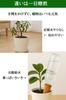 HWSHOW Automatic Watering System for Plants - Automatic Water Dispenser for Plants - Ideal for When You're Away - Ceramic Base, Compatible with Plasti