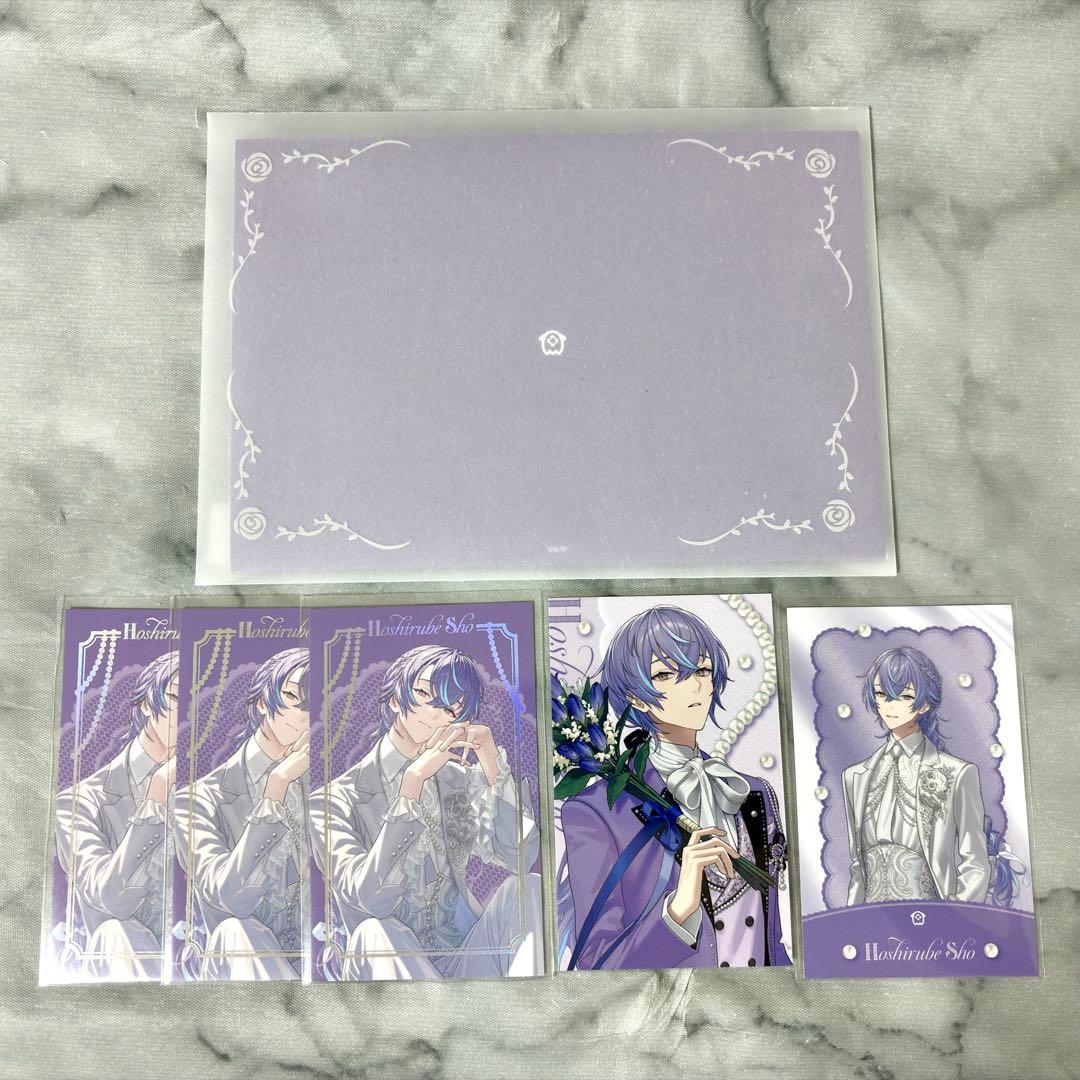 [USED] Nijisanji Luminous Marriage Hoshido Sho Instax-style card bonus item