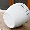 Tin Lid Ceramic Tea Canister Sealed Moisture-proof Candy Storage Jar Home Desktop Decoration Jar Crafts Interior Aesthetic Decor