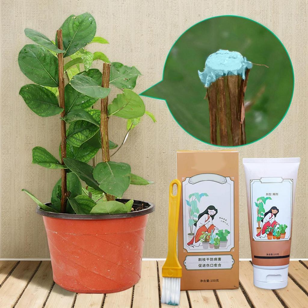 Tree Wound Sealer Tree Wound Sealer Healing Paste Quick Recovery Dressing Paste Grafting Aid For Roses Various Flowers Bonsai