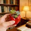 Small Diamond Heart Shape Planter for Small Plants 3D Printed Mini Geometric Heart Flower Pot for Indoor Home Office Desktop Decor