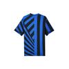 Nike Inter Milan 2024/25 Stadium Home Men's Nike Dri FIT Soccer Replica Jersey FN8787-440