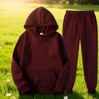 Deux pièces ensemble décontracté polaire survêtement femmes hiver femmes ensembles surdimensionné à capuche à manches longues à capuche Sport pantalon dame costume