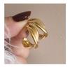 Hong Kong Style Gold Earrings, New Popular Style, High-end Temperament, Light Luxury Circle Earrings, Women's Metal Earrings