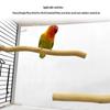 Parrot Wood Claw Grinding Stick & Branch Cage Accessory
