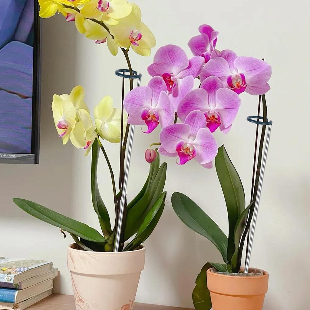 Rostlinná opěrka nastavitelná délka Opěrka pro rostlinu Monstera 4 kusy Odolná vůči povětrnostním vlivům Opakovaně použitelná Zahradnické nástroje pro zeleninu