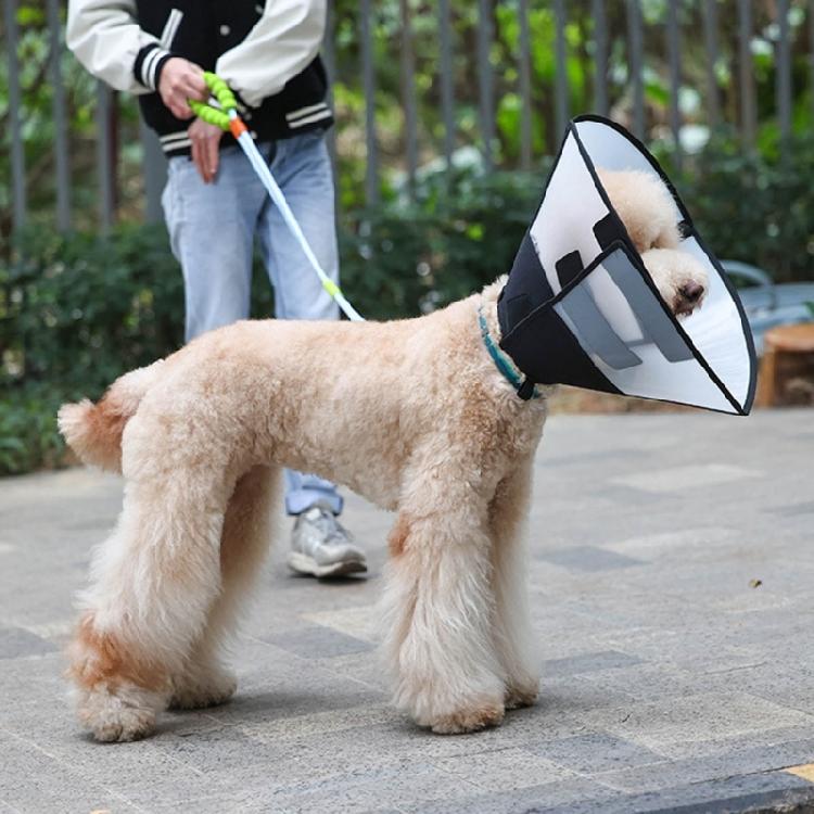 Comfortable Cats Cone Collar for Post Surgery Recovery and Wound Protections