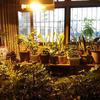 400/600/1000W E40 Ballast 23Ra HPS Plant Grow Light High Pressure Sodium Lamp