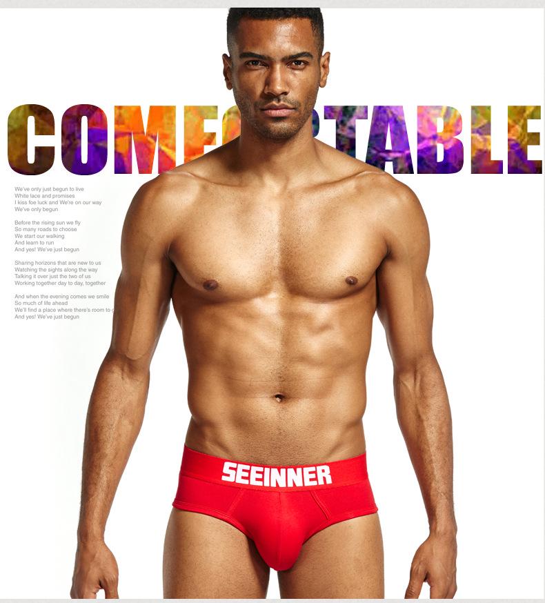 Men's SEEINNER Low Waist Combed Cotton Triangle Briefs, Butt-Lifting, Pure Color Underwear